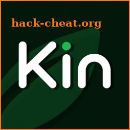 The Kinnect icon