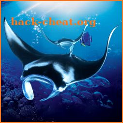 The Manta rays icon