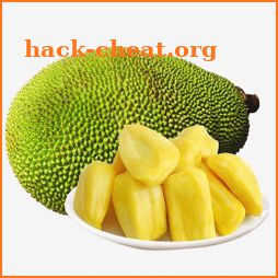 The Method Of Cultivating Jackfruit icon