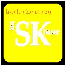 The SK Group, Inc. icon