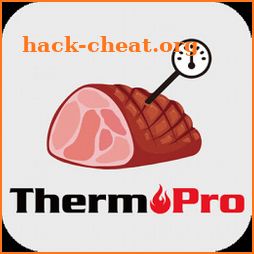 ThermoPro BBQ icon