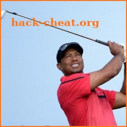 Tiger Woods News icon