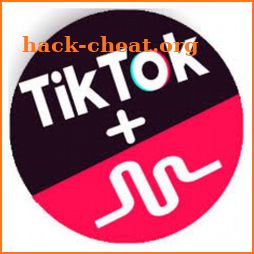 TikTok  includes  Musical.ly  filters  guide icon