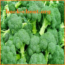 tips cara menanam brokoli hidroponik sederhana icon