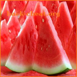 tips cara menanam semangka yang berkualitas icon