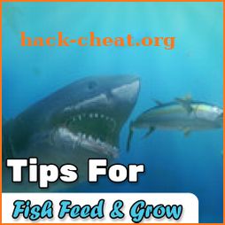 Tips Fish Feed & Grow icon