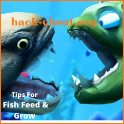 Tips For Fish Feed & Grow icon