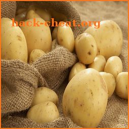 tips praktis dan cerdas menanam kentang polybag icon