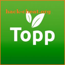 ToppSalad icon