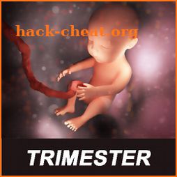 Trimester Of Pregnancy Tracker icon