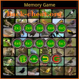 True Birds Memory Game icon