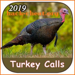Turkey Calls 2019 icon