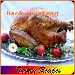 Turkey Recipes icon