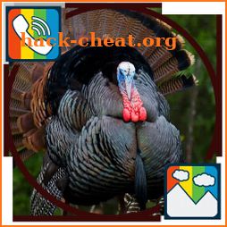 Turkey - RINGTONES and WALLPAPERS icon