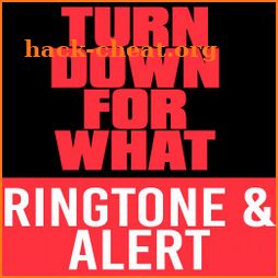 Turn Down for What Ringtone icon