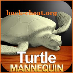 Turtle Mannequin icon