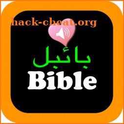 Urdu English Bilingual Audio Holy Bible Offline + icon