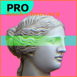 Vaporgram Pro 🌴: Vaporwave & Glitch Photo Editor icon