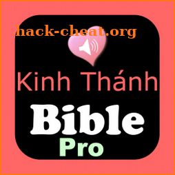 Vietnamese English Audio Bible icon