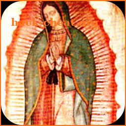 Virgen De Guadalupe Divina icon