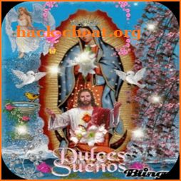 Virgen De Guadalupe Dulce Sueños Fondo Animado icon