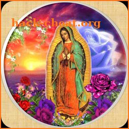 Virgen De Guadalupe Patrona icon