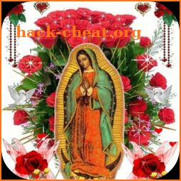 Virgin Of Guadalupe Roses Live Wallpaper icon