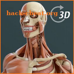 Visual Anatomy 3D | Human icon