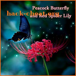 Wallpaper Peacock Butterfly and Red Spider Lily icon
