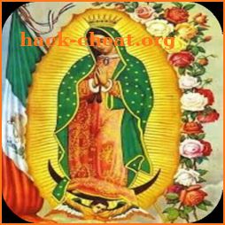Wallpaper Virgin of Guadalupe from Mexico icon