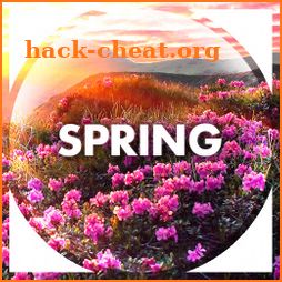 Wallpapers in the spring icon