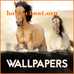 Wallpapers with horses icon