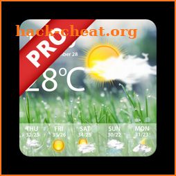 Weather Pro - Weather Real-time Forecast icon