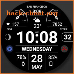 WFP 106 Information watch face icon
