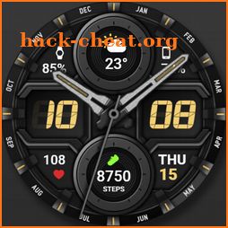 WFP 135 Hybrid watch face icon