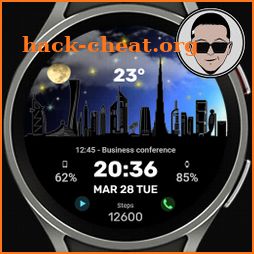 WFP 313 Urban watch face icon