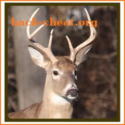 Whitetail deer call sound icon