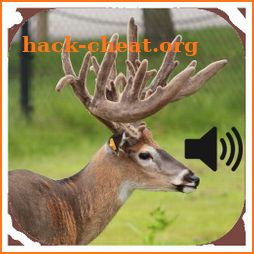 Whitetail Deer Calls icon