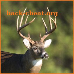 Whitetail Deer Calls - Ad Free icon