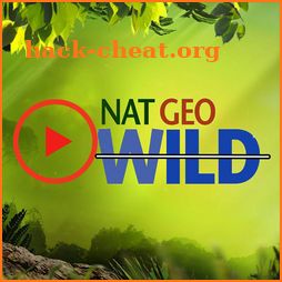Wild Geographic Videos : Latest Animals Videos icon