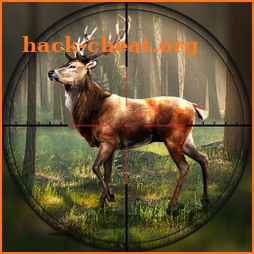 Wild Hunting Clash icon