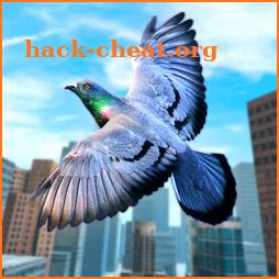 Wild Pigeon Bird City Simulator icon