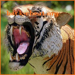 Wild Tiger Simulator - Animal Hunting Life Game icon