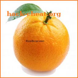 Winter Fruits Are Orange icon