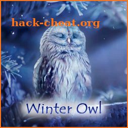 Winter Owl Theme +HOME icon