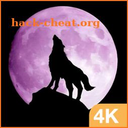 Wolf Wallpapers HD & Free Werewolf 4k Background icon