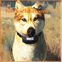 Wolfquest Game Walkthrough icon