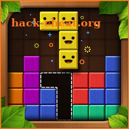 Wood Color Block: Puzzle Game icon