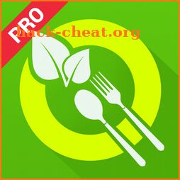Yummy Vegetarian Recipes Pro icon