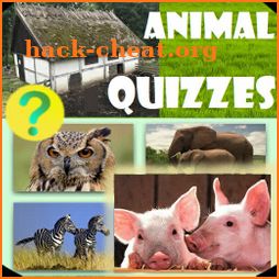 ZOOPEDIA full: Guess the animal👀 4 animal quizzes icon